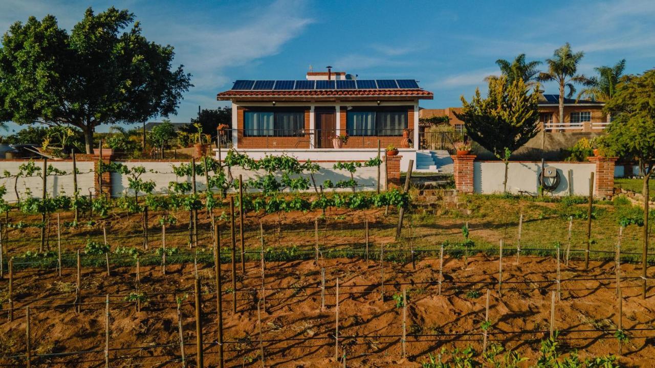 Quinta Sofia Valle De Guadalupe (Adults Only) المظهر الخارجي الصورة