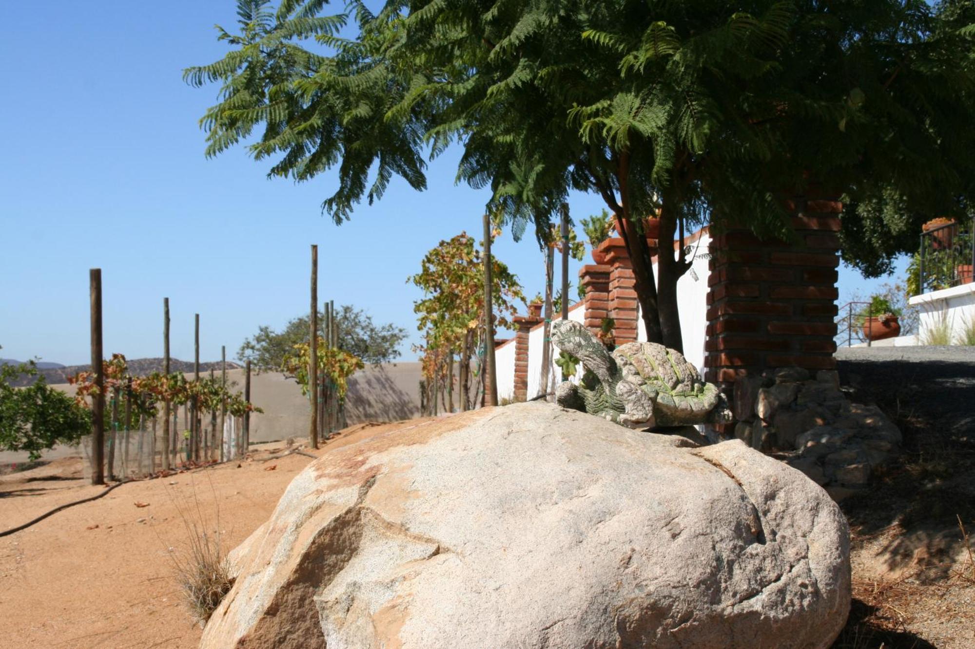 Quinta Sofia Valle De Guadalupe - Solo Adultos المظهر الخارجي الصورة