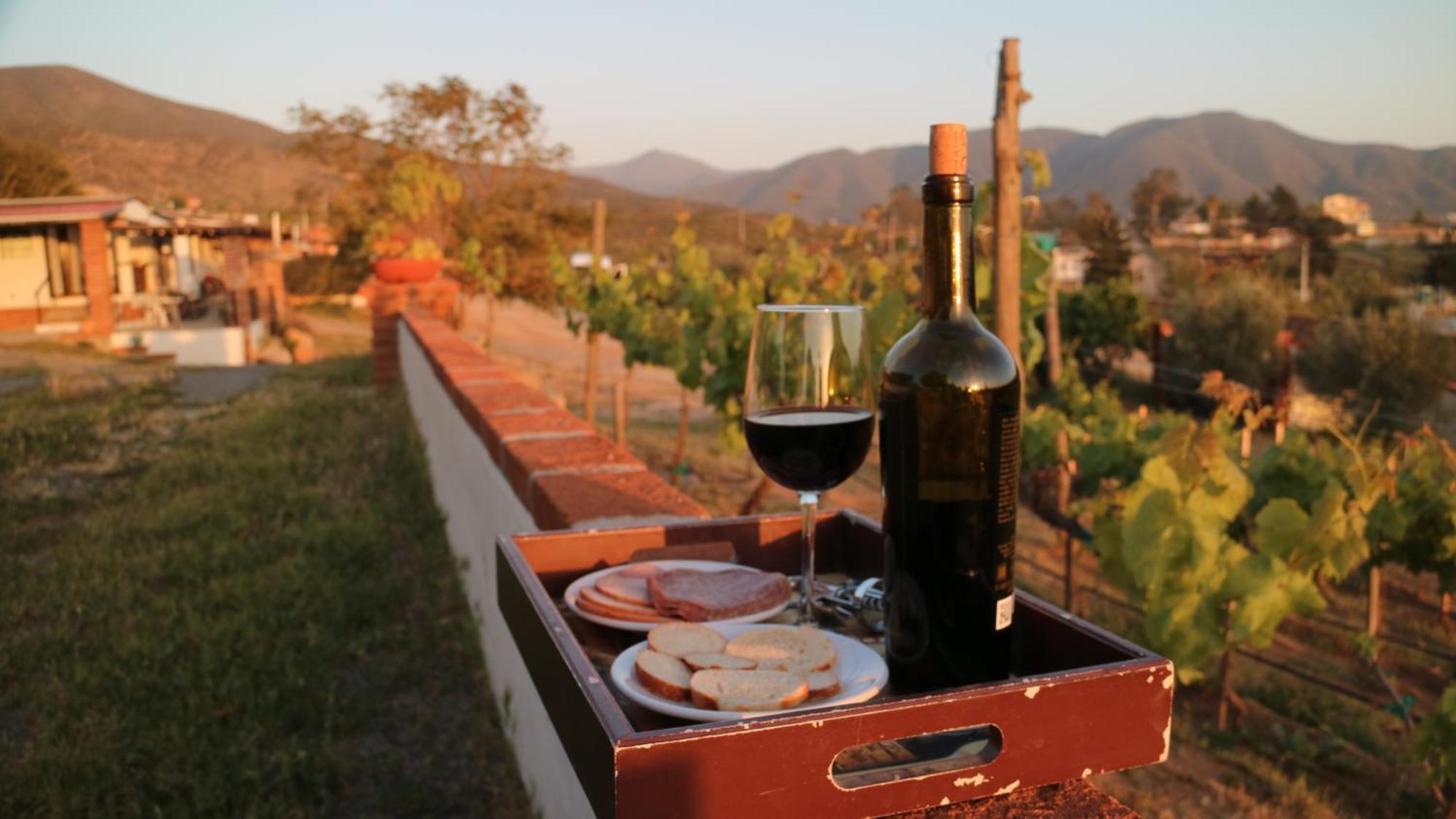 Quinta Sofia Valle De Guadalupe (Adults Only) المظهر الخارجي الصورة